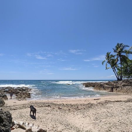 La Sana Surf Hotel - New Management Playa Santa Teresa  エクステリア 写真
