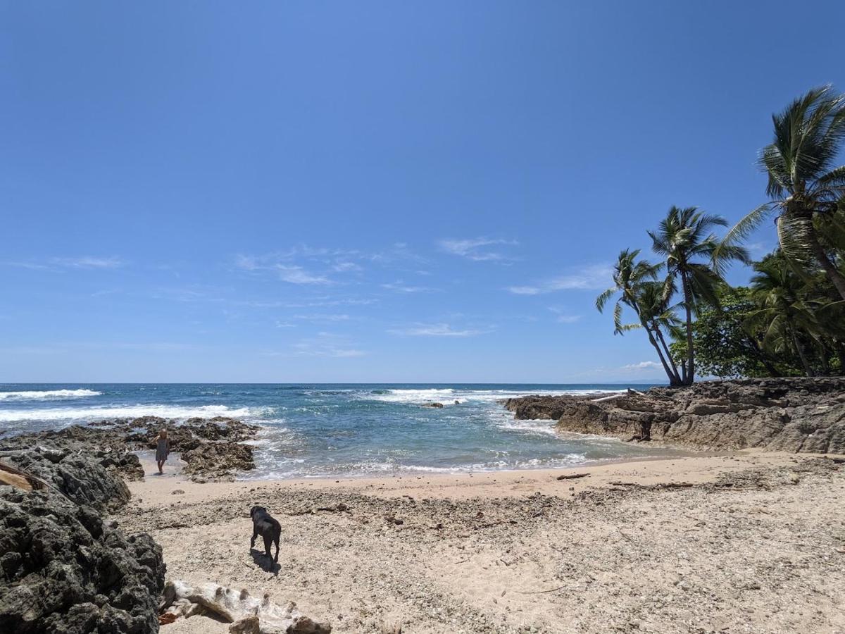 La Sana Surf Hotel - New Management Playa Santa Teresa  エクステリア 写真